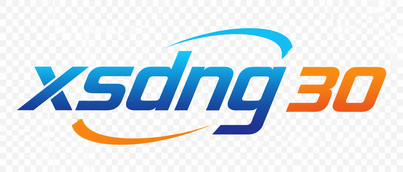 xsdng 30 logo